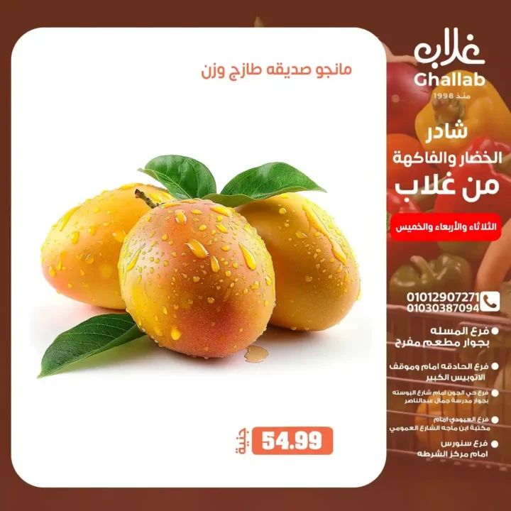 عروض اسواق غلاب بالفيوم حتى 5 يونيو 2025: 