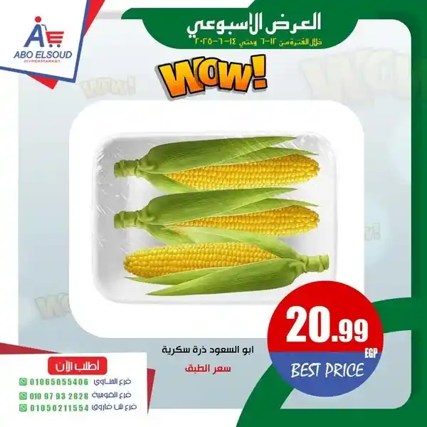 Egypt Offers | Abu Al Saud Hypermarket Offers June 2025