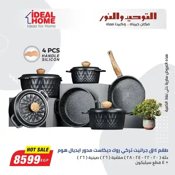 Tawhid and Light Offers