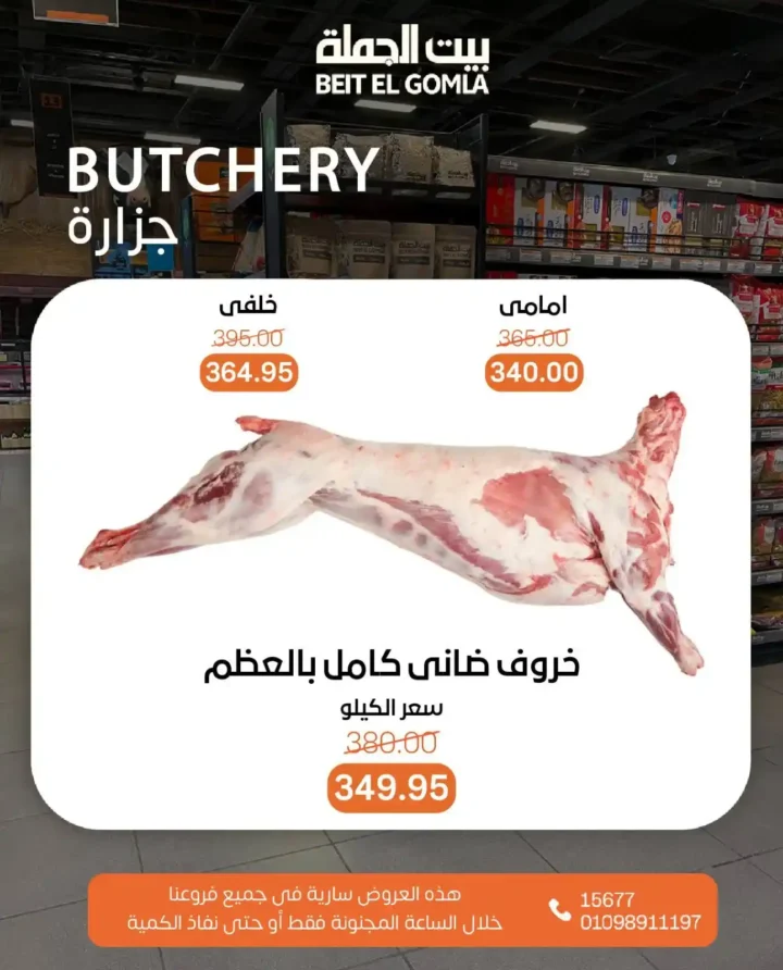 عروض بيت الجملة يوم 29 يونيو 2025
