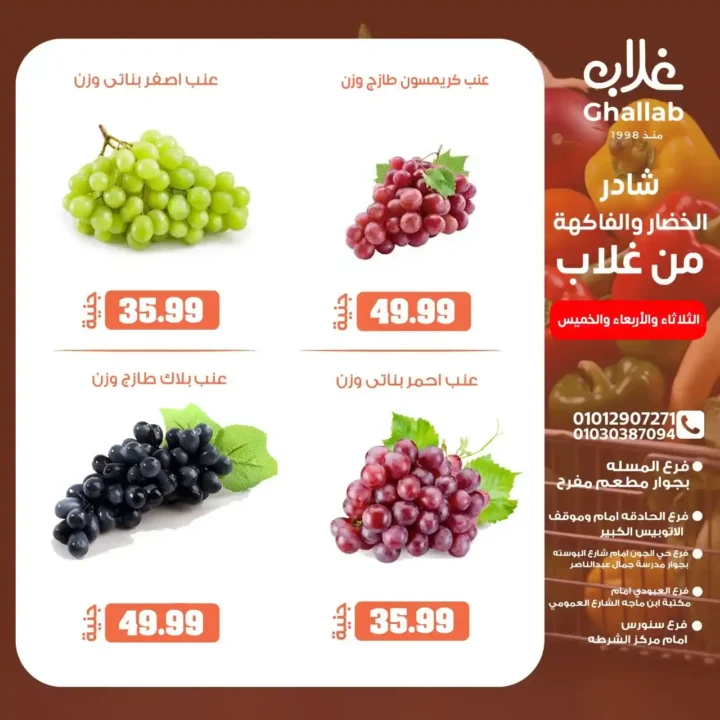 عروض اسواق غلاب بالفيوم حتى 5 يونيو 2025: 