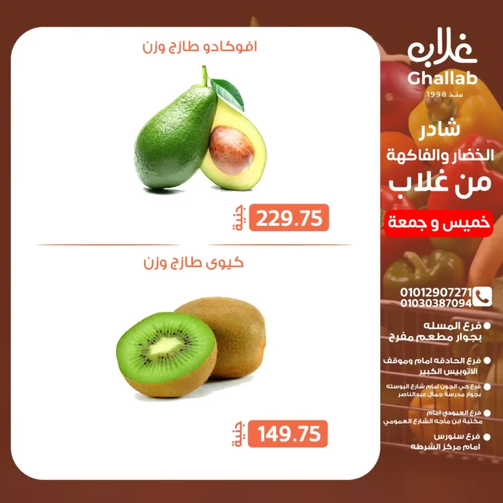 Ghallab Markets Offers 2025