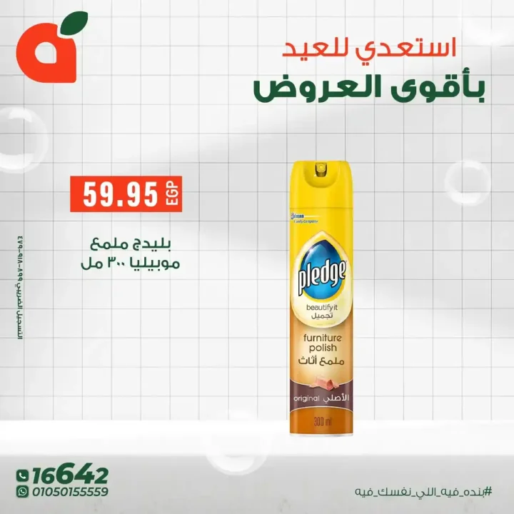 Panda Egypt offers until June 17, 2025 |