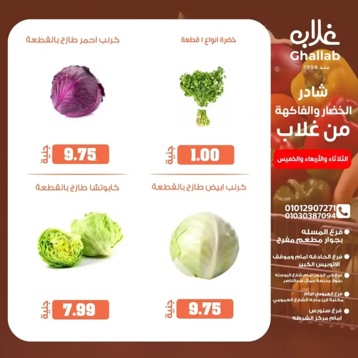 عروض اسواق غلاب بالفيوم حتى 5 يونيو 2025: 