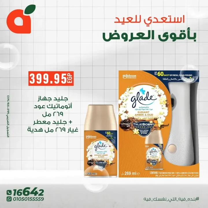 Panda Egypt offers until June 17, 2025 |