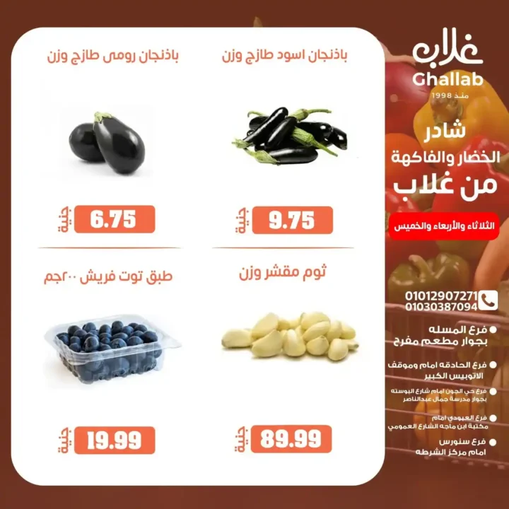 Ghallab Markets offers in Fayoum until June 5, 2025: