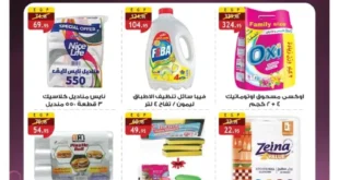 عروض مصر – عروض الراية ماركت 2025 | خصومات التنظيف ، بيتك هيلمع .