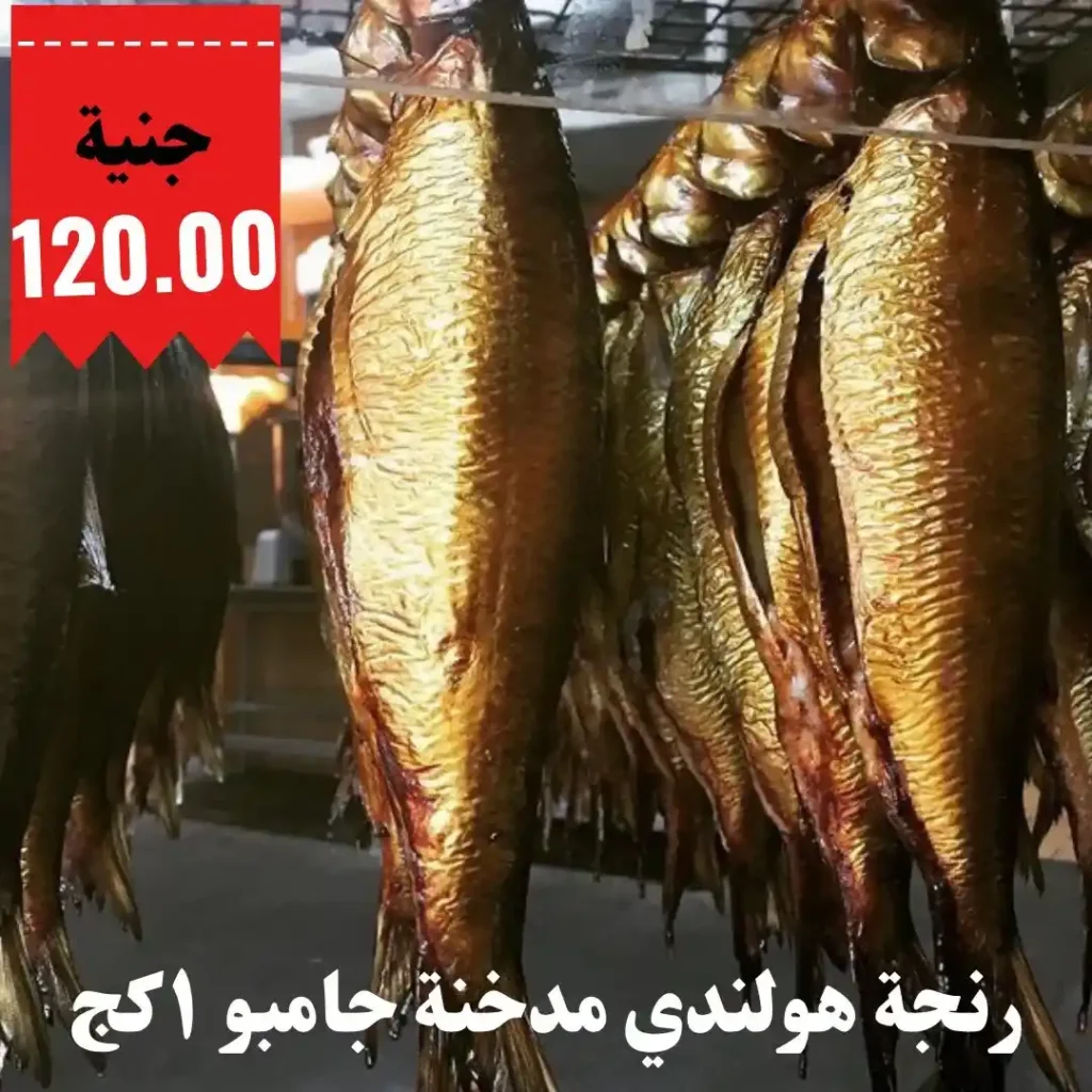 عروض أبو خليفة حتى 15 يوليو 2025
