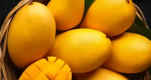 عروض المحلاوي ماركت حتى 7 أغسطس 2025.
