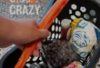 عروض بيت الجملة 6 يوليو