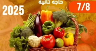 عروض غلاب ماركت يوم 8 يوليو 2025