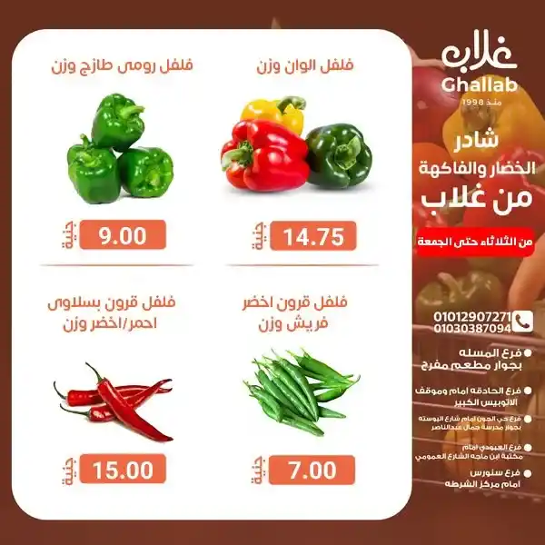 عروض أسواق غلاب بالفيوم على الخضار والفاكهة
