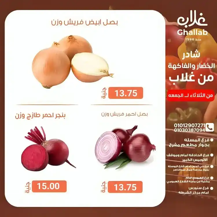 Ghallab Markets offers in Fayoum on vegetables and fruits