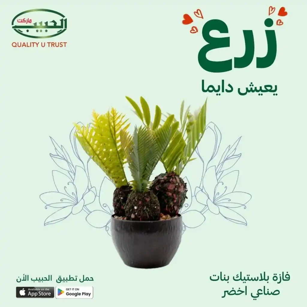 Artificial planting offers from Al Habib Market
