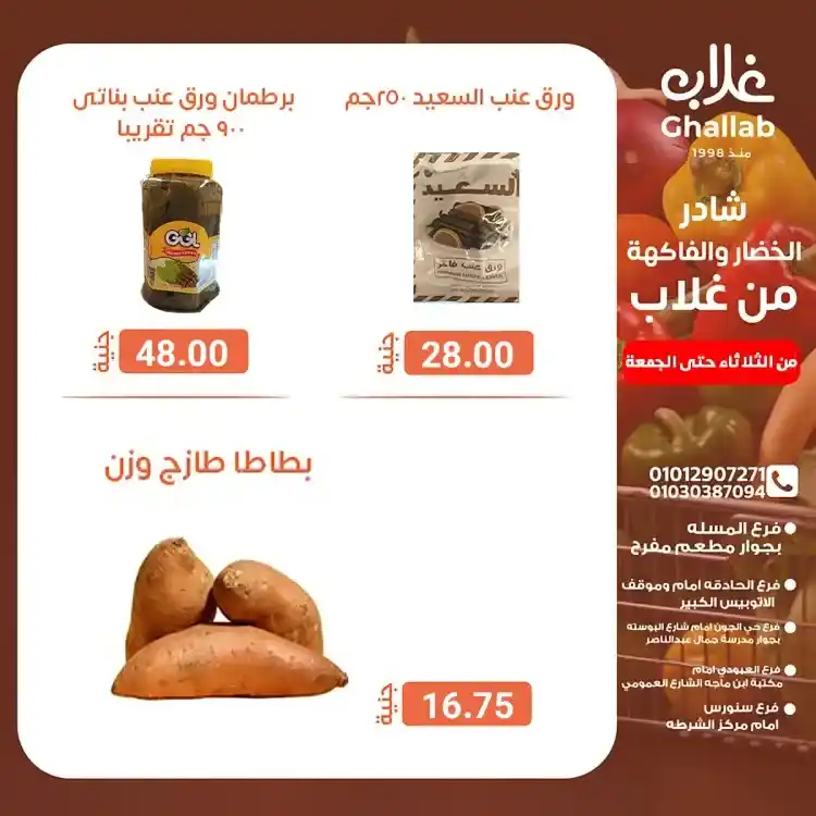 Ghallab Markets offers in Fayoum on vegetables and fruits