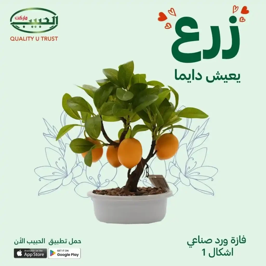 Artificial planting offers from Al Habib Market