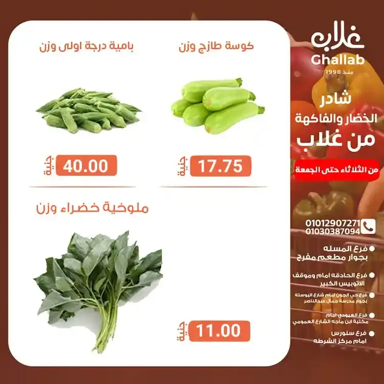 Ghallab Markets offers in Fayoum on vegetables and fruits