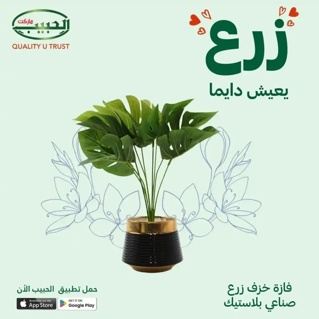 Artificial planting offers from Al Habib Market
