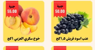 عروض أبو خليفة حتى 15 يوليو 2025