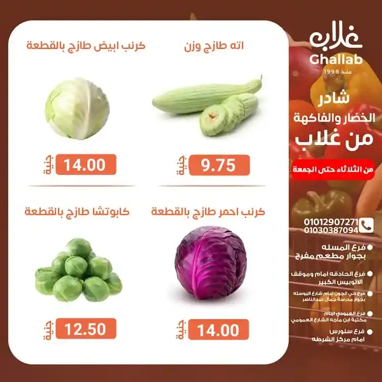 Ghallab Markets offers in Fayoum on vegetables and fruits