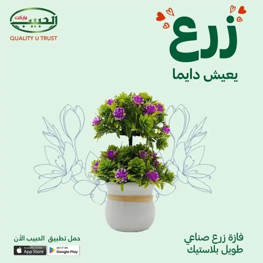 Artificial planting offers from Al Habib Market