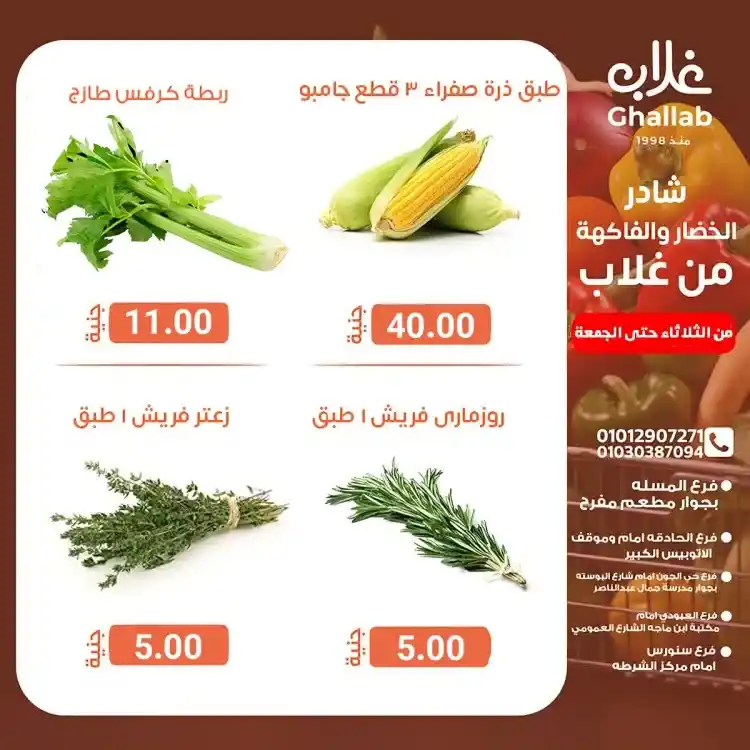 Ghallab Markets offers in Fayoum on vegetables and fruits