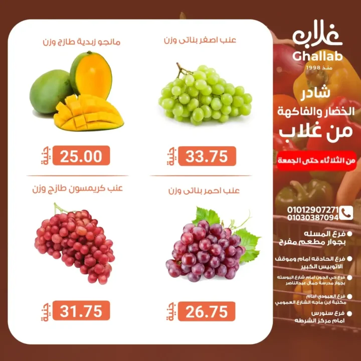 Ghallab Markets offers in Fayoum on vegetables and fruits