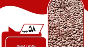 عروض هايبر الوفاء الجديدة..
