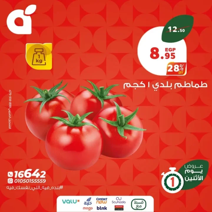 Panda Egypt offers on Monday, July 28, 2025 | Discounts of up to 28% on household needs