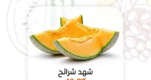 عروض بيت الجملة يوم الإثنين 21 يوليو 2025 | خضار وفاكهة طازة بأسعار ما تتفوتش.