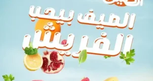 صيفك فريش مع عروض كازيون 2025 – خليك مستعد للتوفير!