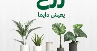 عروض الزرع الصناعي من الحبيب ماركت