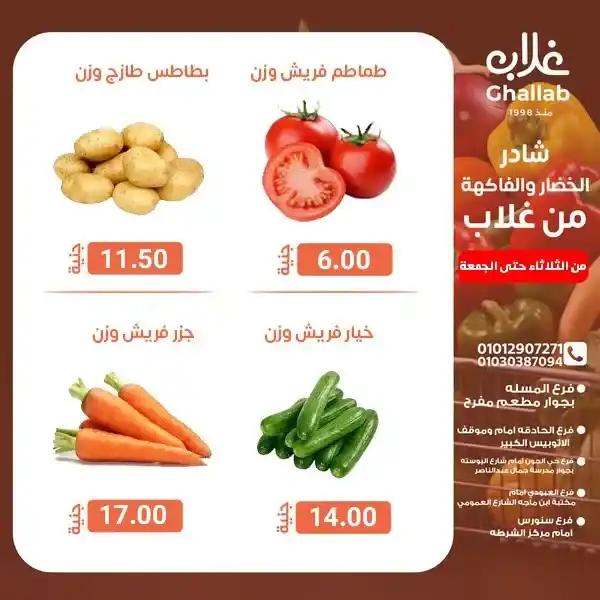 عروض أسواق غلاب بالفيوم على الخضار والفاكهة