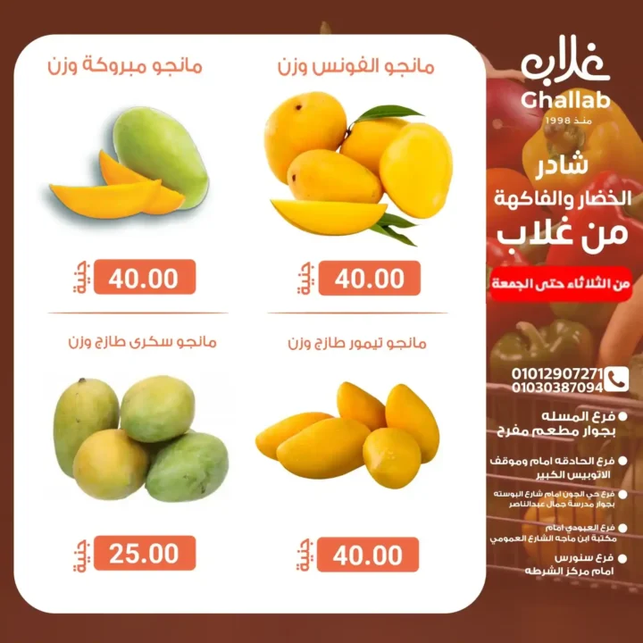 عروض أسواق غلاب بالفيوم على الخضار والفاكهة