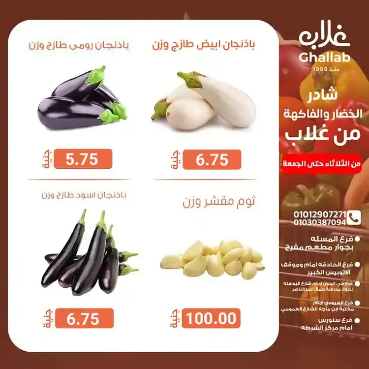 عروض أسواق غلاب بالفيوم على الخضار والفاكهة