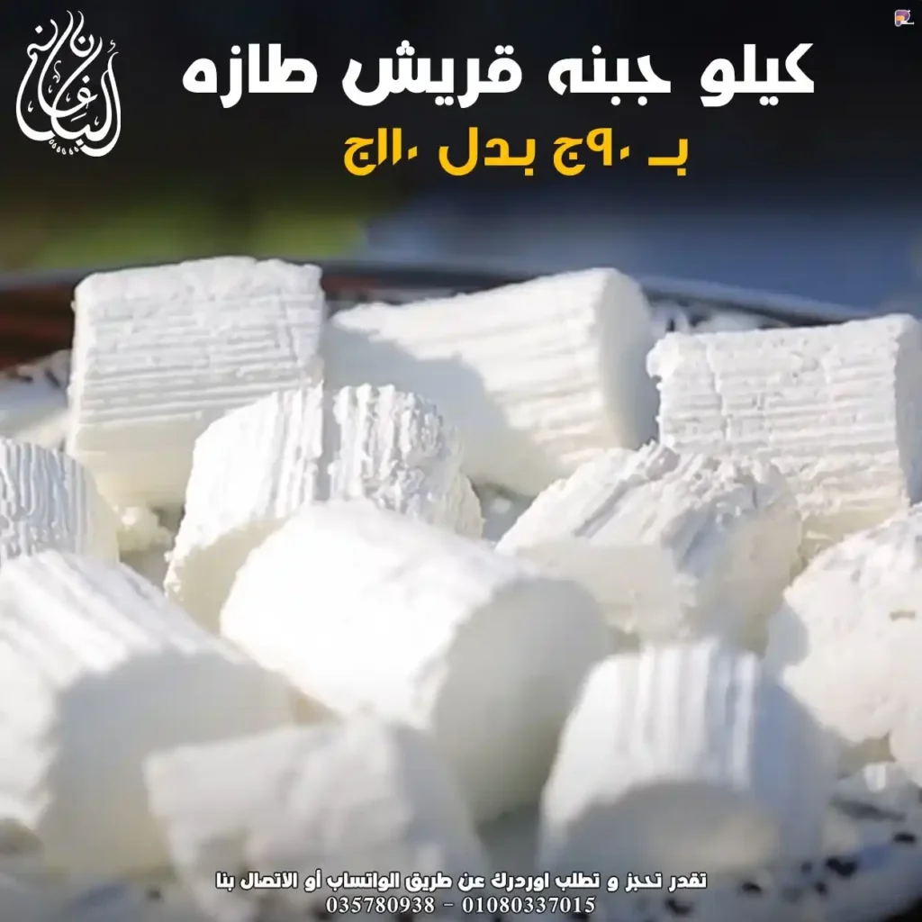 عروض ألبان غانم في الإسكندرية
