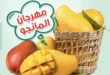 عروض سبينس على المانجو