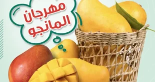 عروض سبينس على المانجو