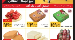 سويكو مصر