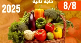 عروض شادر الجمعة من غلاب ماركت