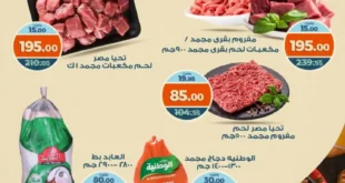 Kazyon offers