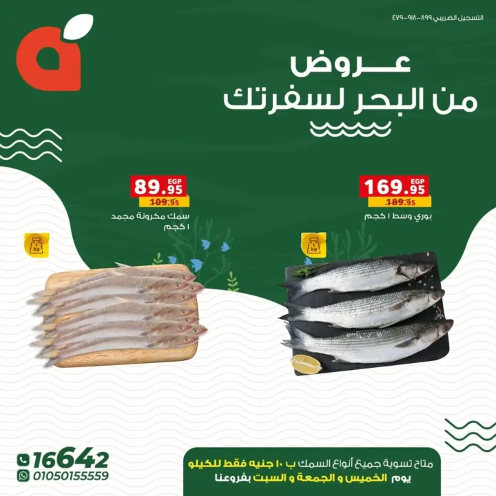 Panda Egypt Weekend Offers