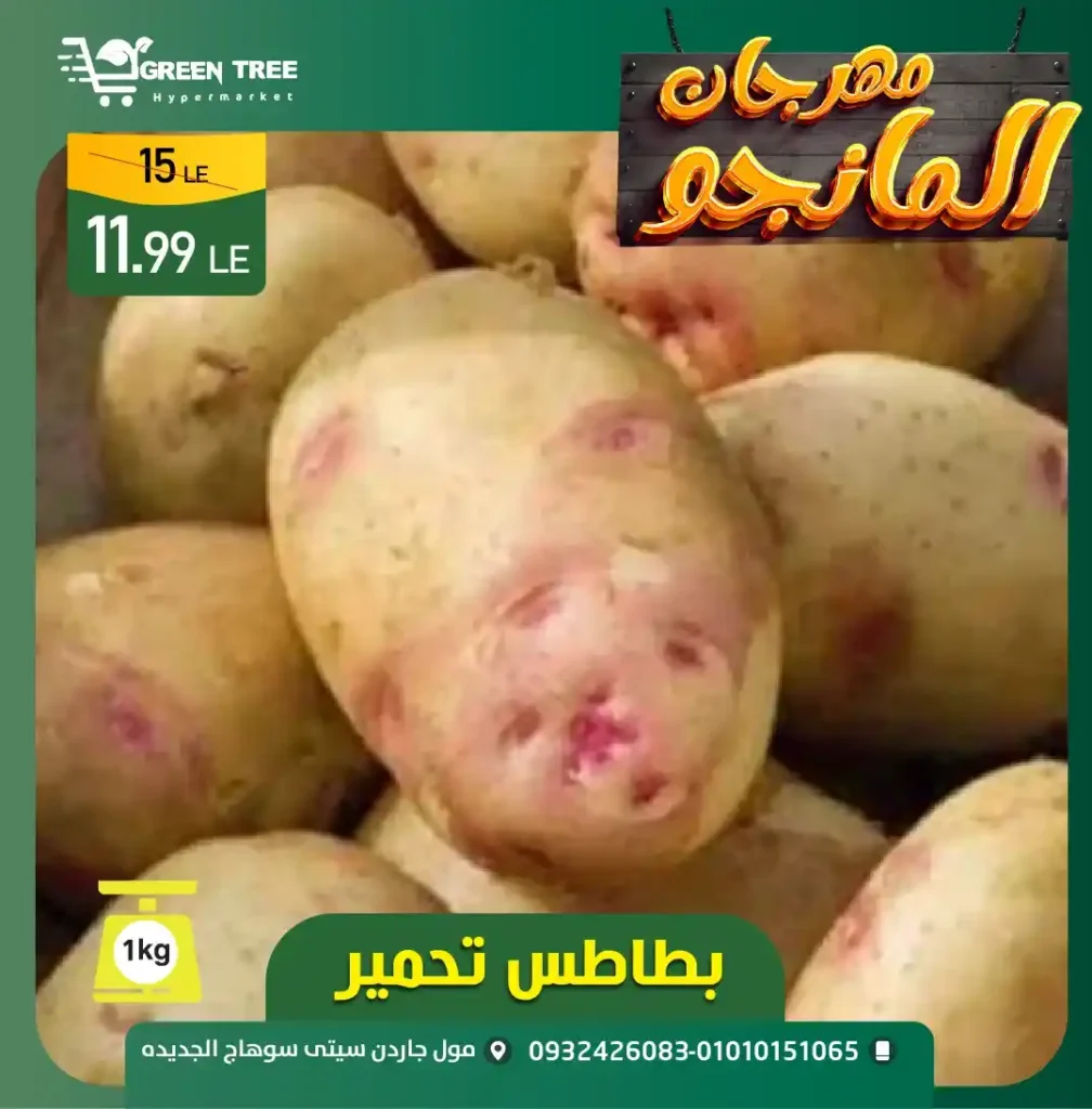Mango Festival at Green Tree Hypermarket