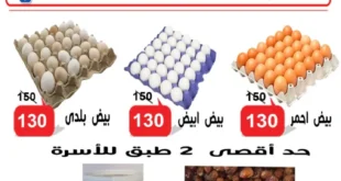 Al Donia Bakhir Offers, Ismailia, Al Khamsa Branch - Exclusive Discounts, August 2025