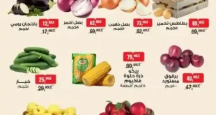 عروض بيم BIM Misr