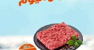 عرض كازيون السبت 16 أغسطس 2025