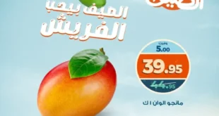 Kazyon Summer Offers August 2025 - Fresh Taste at Great Prices