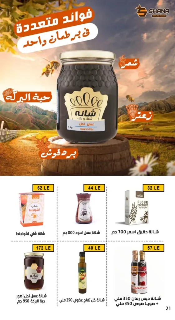 عروض بن سليمان بمناسبة المولد النبوي الشريف من 25 / 8 الى 02 / 09 / 2025