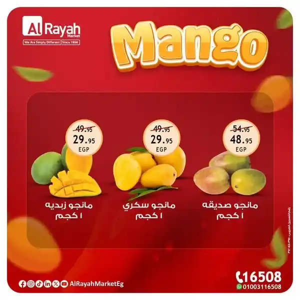 Alrayah Market Offers