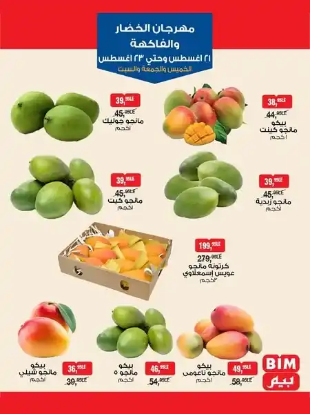 BIM Misr offers